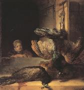 REMBRANDT Harmenszoon van Rijn Still life with two dead Peacocks and a Girl (mk33) USA oil painting artist